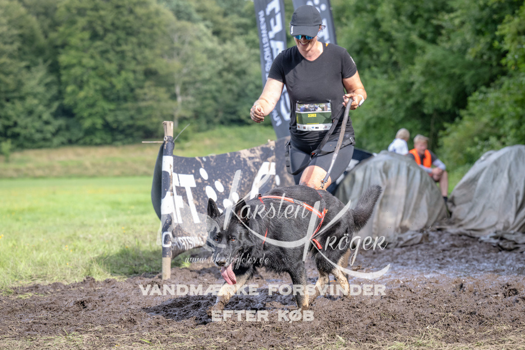 1637_ZZ93897 | kk-dogfotos