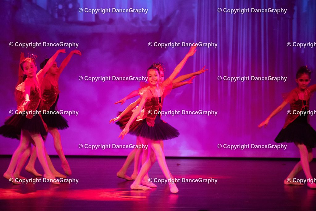 GPHY2158 | DanceGraphy - Realisiert mit Pictrs.com