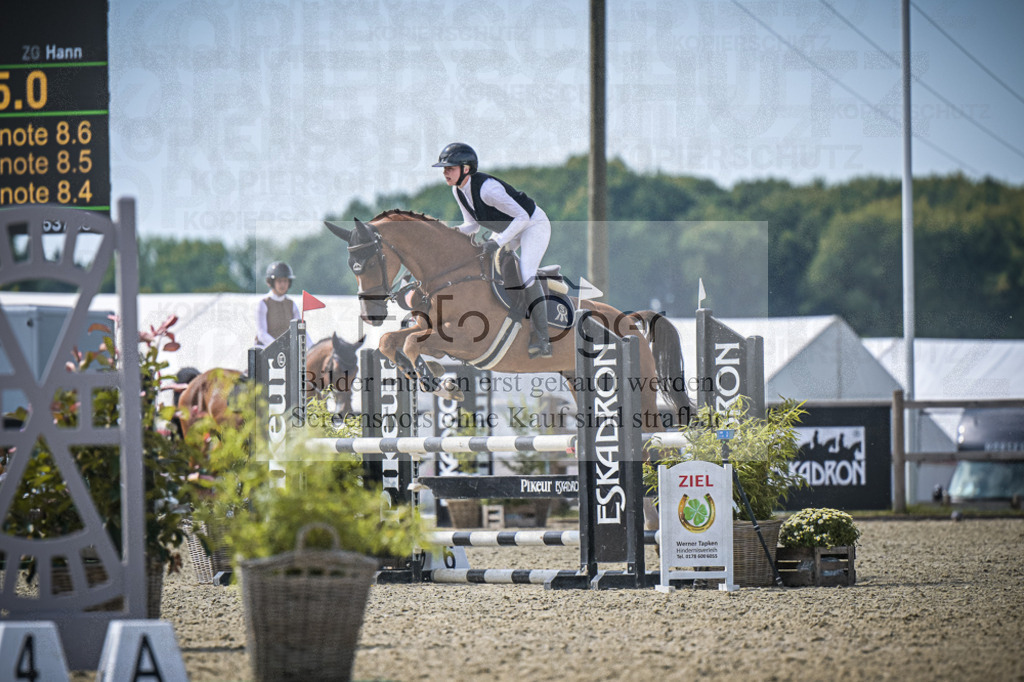 DOS_8417 | Entdecke hochwertige Reitturnierfotos von Foto Oger. Professionell, emotional und authentisch – jetzt Lieblingsmomente im Shop bestellen.Deutschlandweite Turnierfotografie. - Realisiert mit Pictrs.com