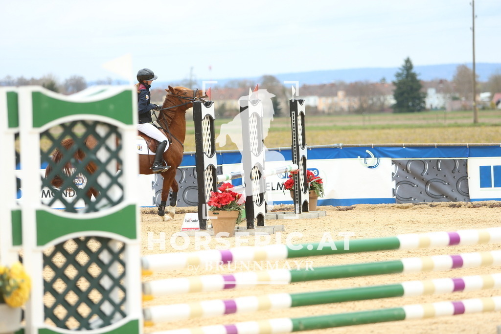 DL2Q1665 | Willkommen bei Brunnmayr - Design & Fotografie – Ihrem Spezialisten für Reitturniere und Pferdeveranstaltungen in Oberösterreich, Salzburg und Bayern! Seit über 17 Jahren sind wir leidenschaftlich dabei.