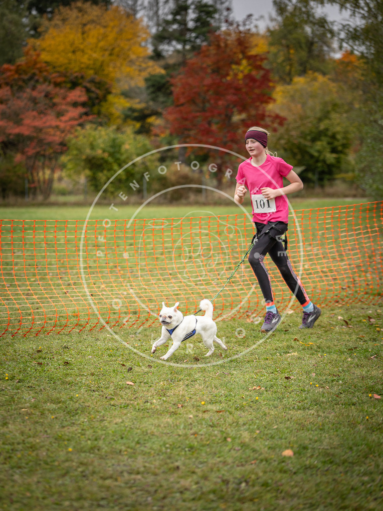 Pfotenfotografie_DV3A3484 | Hundefotografie, Tierfotograf, Pfotenfotografie, Fotoshooting Hund, Hunde Portrait, Hundesport, Hundeportraits, Heideshooting, Hunde, Sportfotograf, Hundefotograf, Turnierhundsport, THS,  - Realisiert mit Pictrs.com
