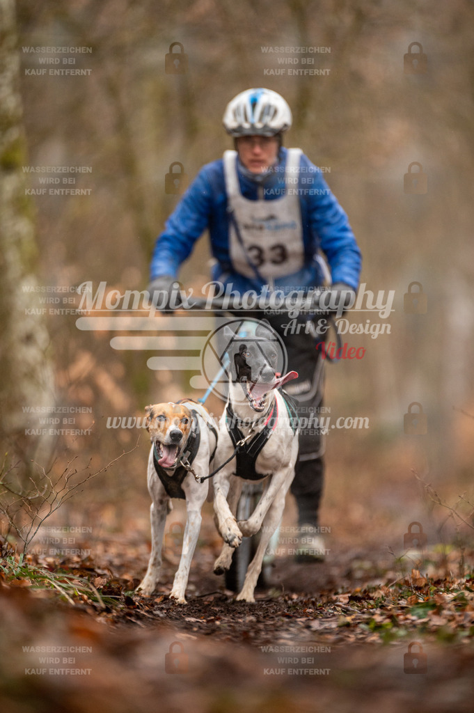 Reiat2023_SON_DS2_5km_2H-6 | PayLife