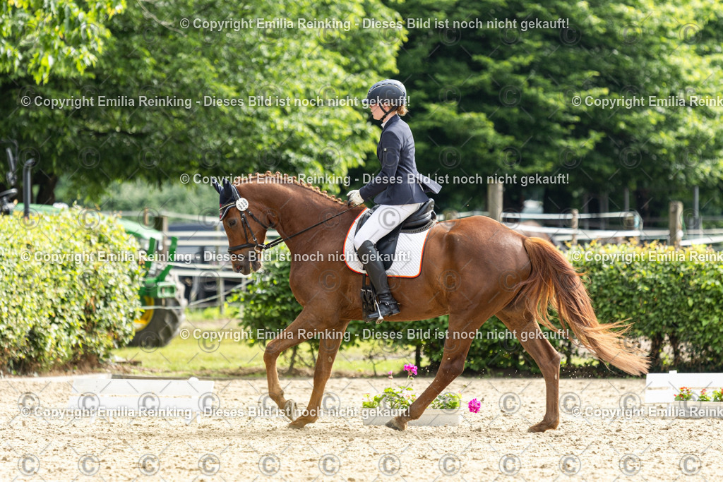 CL5A5702 | Emilia Reinking Fotografie - Realisiert mit Pictrs.com