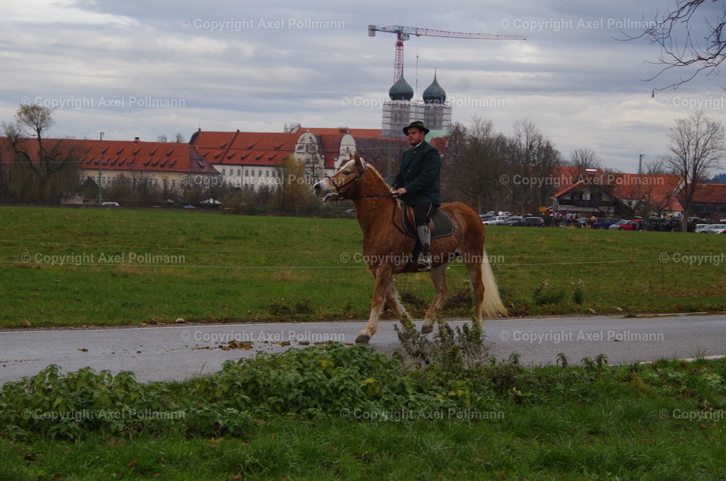 IMGP9738 | fotografiert von Axel PollmannLeonhardi Wallfahrt Benediktbeuern und Murnau, Fronleichnam, Fasching, Landschaft im Loisachtal und Benediktbeuern  - Realisiert mit Pictrs.com