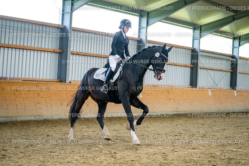 DSC05777 | Pferdegrafie