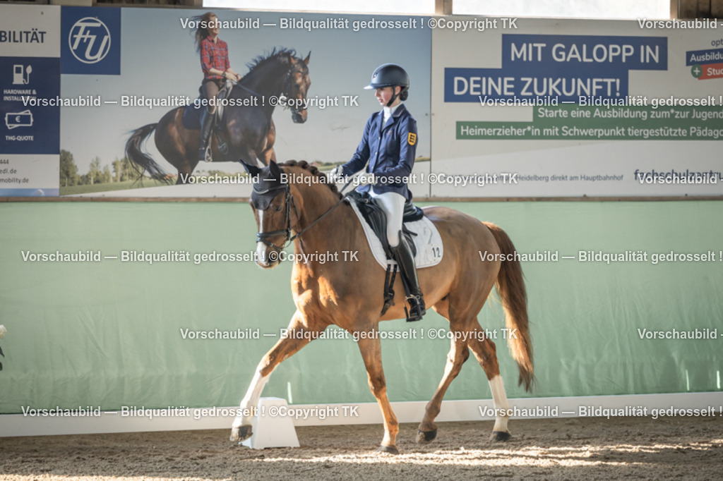 _D5A0591 | Emotionale Pferde- & People-Fotografie rund um Heidelberg, Leimen & Umgebung. Natürliche Fotos von Pferd, Mensch & Familie. Jetzt Termin sichern!
