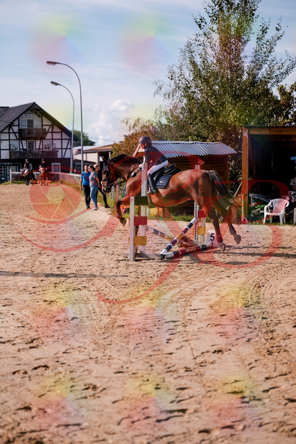 2026_10_03_Siefer-Hof_143825_Z81_08532930 | Professionelle Reitsport-, Turnier- und Eventfotografie von Robert Broda. Galerien mit ausgewählten und bearbeiteten Bildern direkt online ansehen und bestellen.