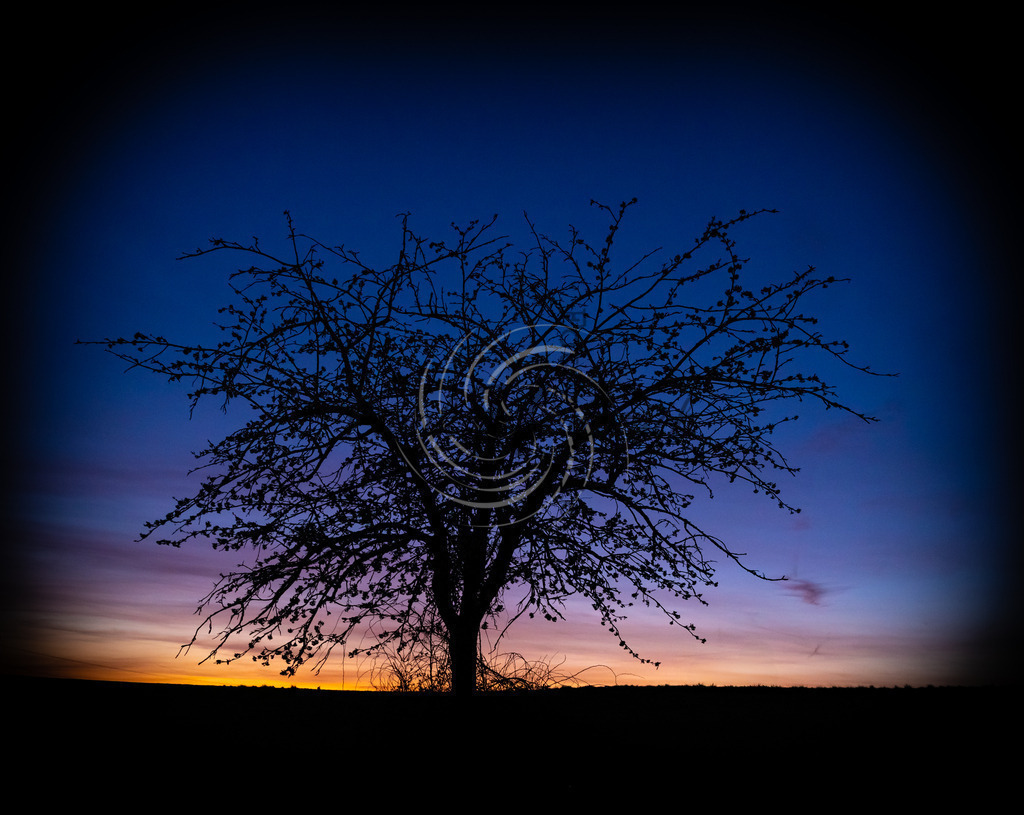 _X0A9682bea | Frank Herberich Fotografie, Frank Herberich, Fotografie, Hochzeit, Portrait, St. Peter Ording, Ording, Westerhever, Nordsee, Frank Fotografie, Hardheim,  Odenwald,Walldürn, Band,Eventfotografie - Realisiert mit Pictrs.com