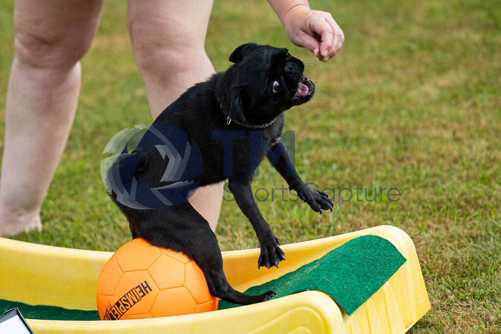 TP-20240815-0089 | Copyright: Trainproduction / Matthias Trinkl