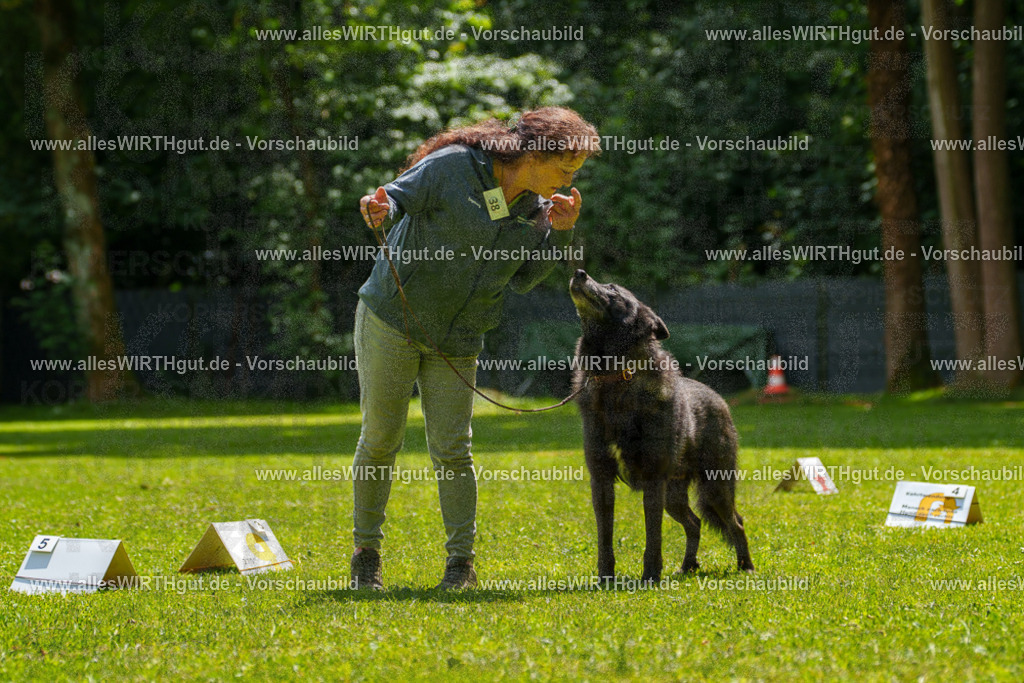 @allesWIRTHgut_Tierfotografie - www.allesWIRTHgut.de - 7R504672 | Professionelle Tierfotografie in Mönchengladbach von Daniel Wirth (allesWIRTHgut). Liebevolle & natürliche Bilder von Hunden & Katzen für unvergessliche Erinnerungen.