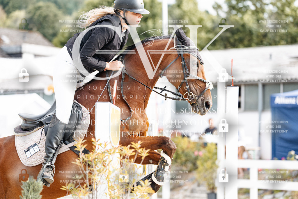 CK903013 | Turnierfotografie Pferdefotografie Trier Rheinland-Pfalz Pferdesport Reitsport Tierfotografie Sportfotografie Pferdevideo Pferdevideografie Equestrianvideography equestrianphotography  - Realisiert mit Pictrs.com