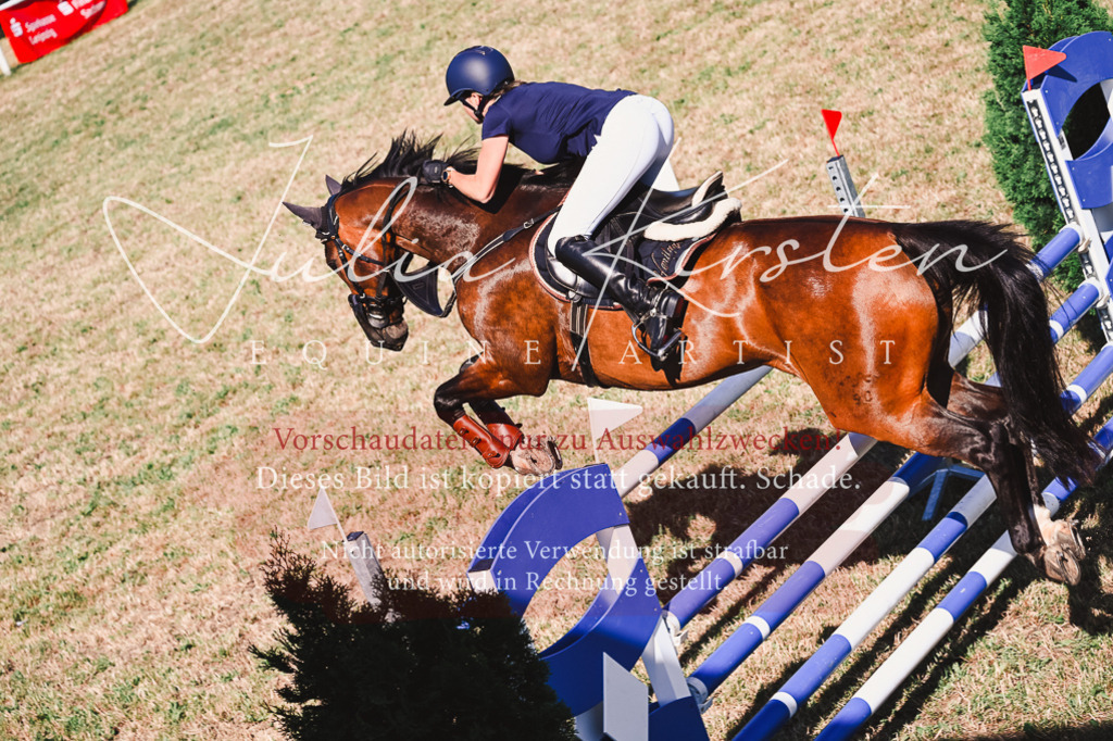 DSC_2117 | Pferde- und Turnierfotografie in Westsachsen. Pferdeportraits, Auftragszeichnungen und intuitive Kunst.