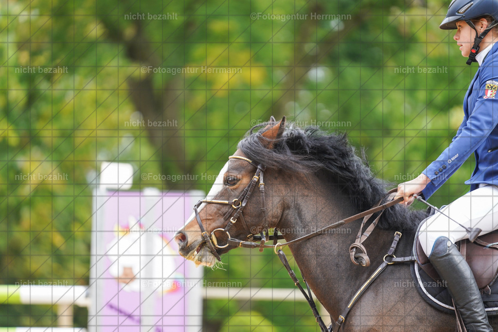 20221009-FAH08625 | Diessen am Ammersee, 2022, Dressur- und Springturnier, Reitsportbilder, Turnierfotografen Bayern, Pferdefotografen, Fotoagentur Herrmann, Turnierbilder