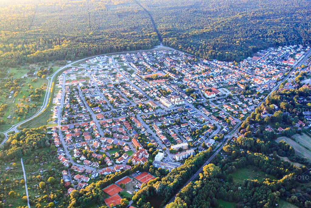 Luftbild: Buchstr in Jockgrim im Bundesland Rheinland-Pfalz in Deutschland. Foto: IMG_59766.jpg vom 04.09.2013 durch Werner Riehm/FLY-FOTO.de