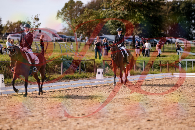 2026_10_03_Siefer-Hof_130858_Z81_62498390 | Professionelle Reitsport-, Turnier- und Eventfotografie von Robert Broda. Galerien mit ausgewählten und bearbeiteten Bildern direkt online ansehen und bestellen.