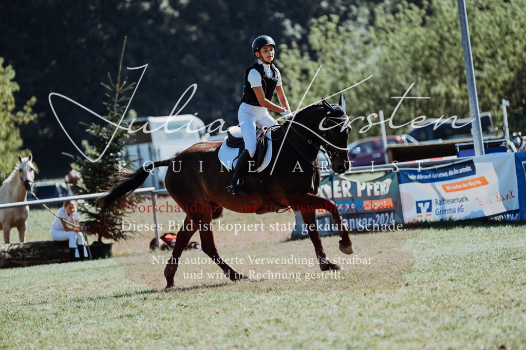DSC_6778 | Pferde- und Turnierfotografie in Westsachsen. Pferdeportraits, Auftragszeichnungen und intuitive Kunst.
