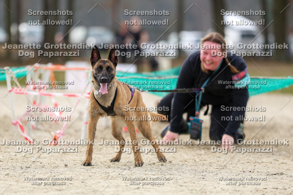 Dog Paparazzi - Strongdog North Mrz26-5649 | Dog Paparazzi Jeanette Grottendiek Fotografie & Videografie - Realisiert mit Pictrs.com