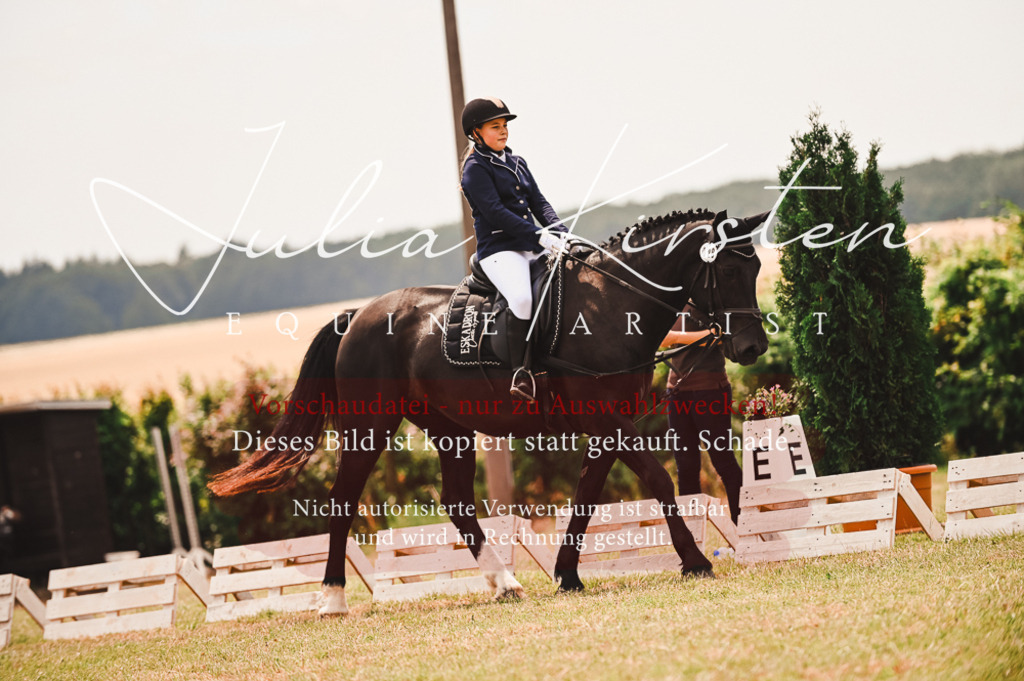 DSC_6348 | Pferde- und Turnierfotografie in Westsachsen. Pferdeportraits, Auftragszeichnungen und intuitive Kunst.