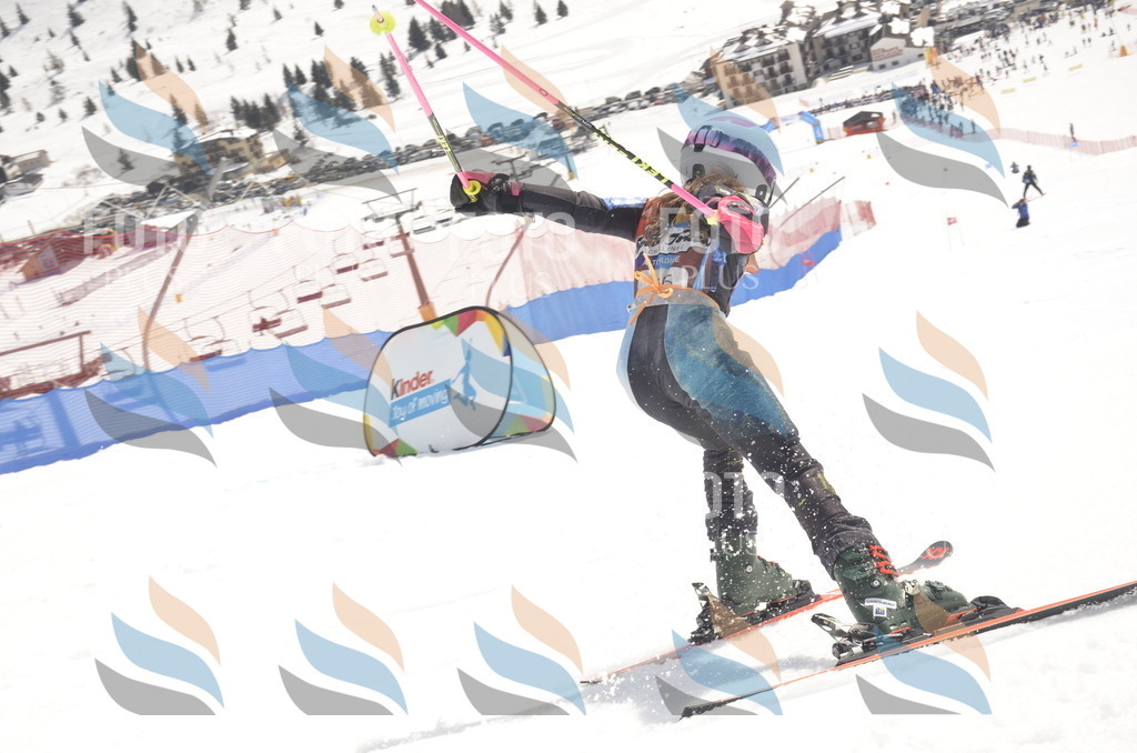 _ELE8600 | holidayphoto