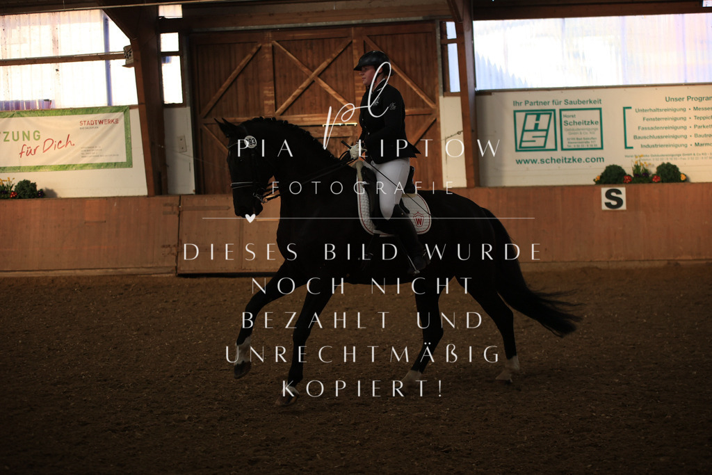 IMGT0278 | pl-fotografie