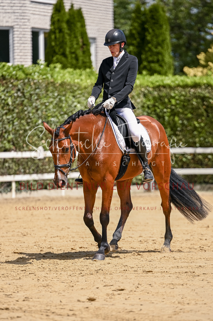 Schugtsche-Aluta25-48.Reitpferfdeprf.-244 | Schugtsche Fotografie - Realizzato con Pictrs.com