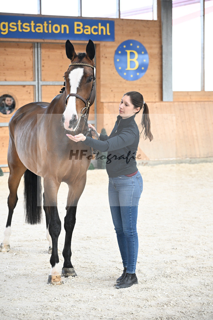 Kat-Nr. 27 Annabelle NZ v. Aganix du Seigneur_Kistner_5251858 | hf-fotografie - Realisiert mit Pictrs.com