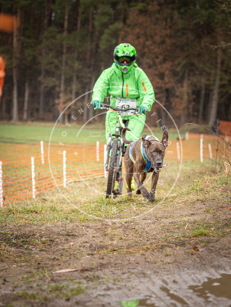 DV3A9529 | Hundefotografie, Tierfotograf, Pfotenfotografie, Fotoshooting Hund, Hunde Portrait, Hundesport, Hundeportraits, Heideshooting, Hunde, Sportfotograf, Hundefotograf, Turnierhundsport, THS,  - Realisiert mit Pictrs.com