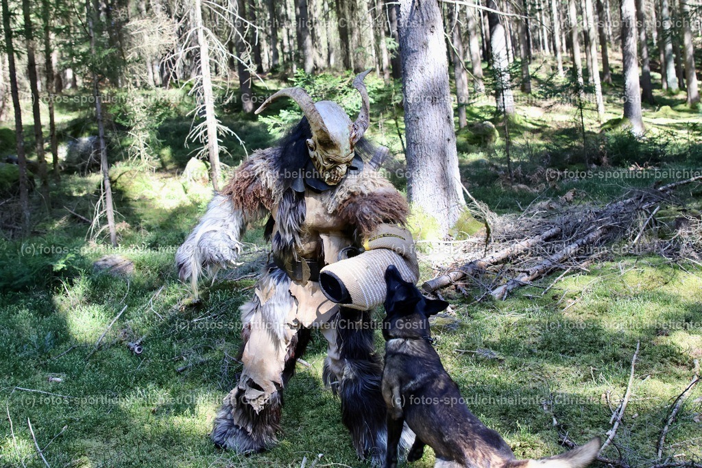 IMG_5834 | fotos-sportlich-belichtet - Realisiert mit Pictrs.com