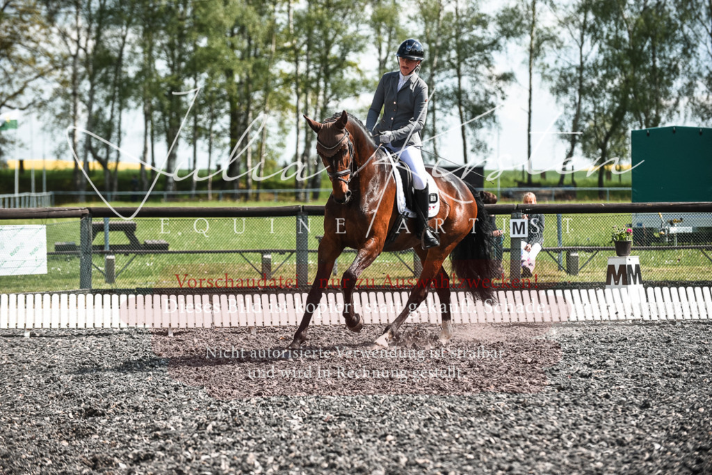 DSC_8963 | Pferde- und Turnierfotografie in Westsachsen. Pferdeportraits, Auftragszeichnungen und intuitive Kunst.