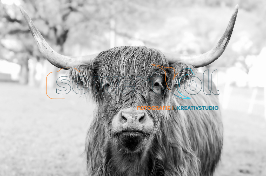 sowertvoll-zukunftstag-9719-2 kopie | so-wertvoll