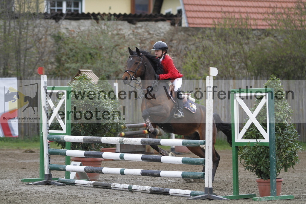 _MG_4432 | equestrian-live-com