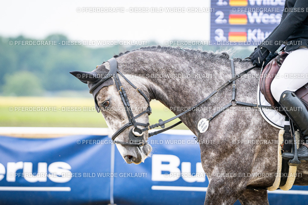 DSC09763 | Pferdegrafie