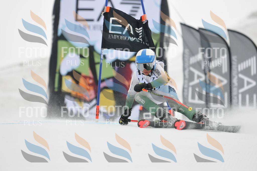 DSC_8597 | holidayphoto