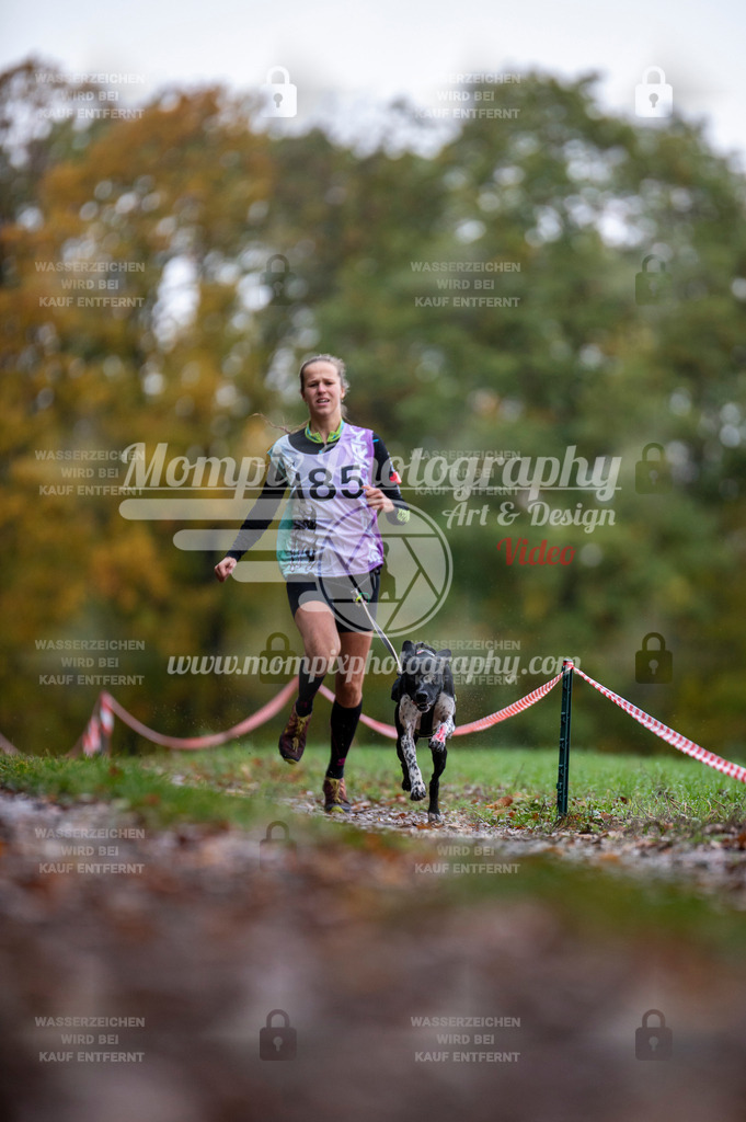 DBT_DAKM_SA_4_11_2023_Canicross-28 | PayLife