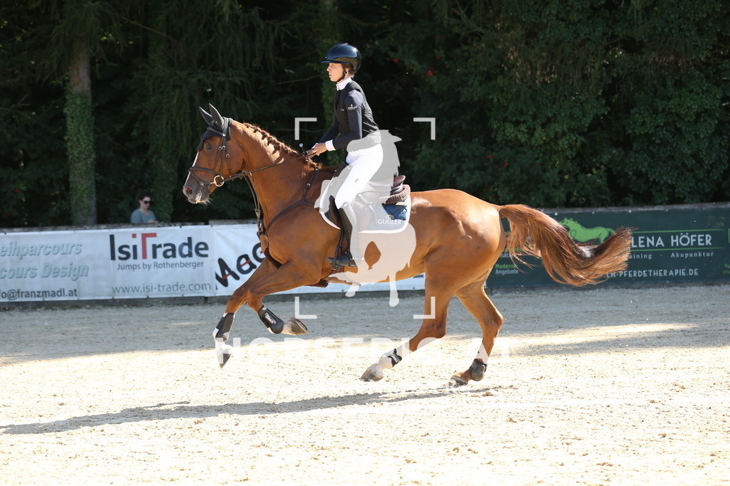 DL2Q0106 | Willkommen bei Brunnmayr - Design & Fotografie – Ihrem Spezialisten für Reitturniere und Pferdeveranstaltungen in Oberösterreich, Salzburg und Bayern! Seit über 17 Jahren sind wir leidenschaftlich dabei.