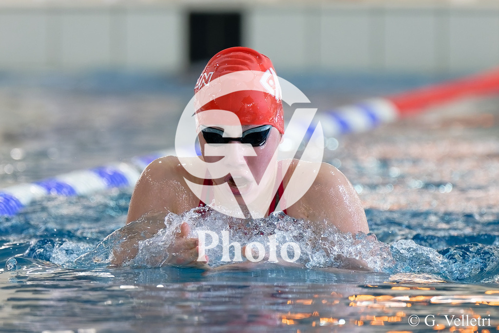 DSC_3470 | Velletri Photo