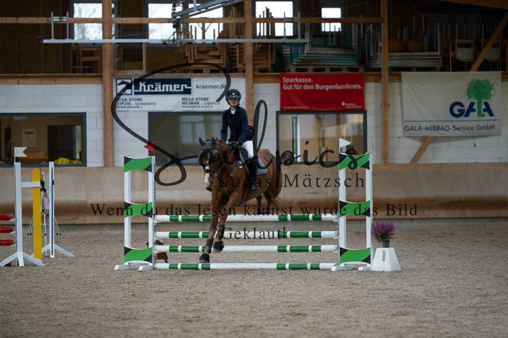 A7V03017 | Pferdefotograf