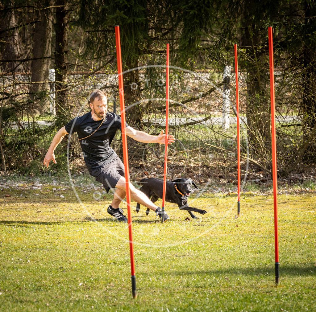 Pfotenfotografie_DV3A1647 | Hundefotografie, Tierfotograf, Pfotenfotografie, Fotoshooting Hund, Hunde Portrait, Hundesport, Hundeportraits, Heideshooting, Hunde, Sportfotograf, Hundefotograf, Turnierhundsport, THS,  - Realisiert mit Pictrs.com