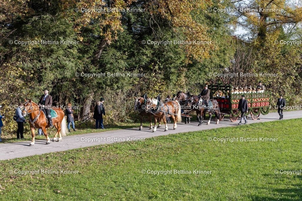 LBT24-211 | foto-bettina-krinner - Realisiert mit Pictrs.com