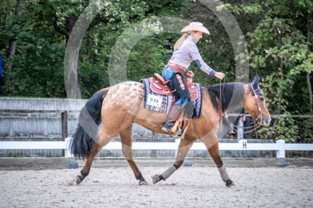 HEB07304 | BS-foto