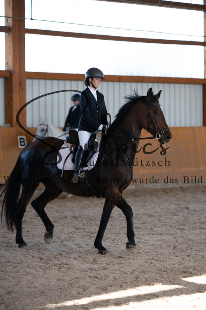 A7V02044 | Turnier/Reitfotograf