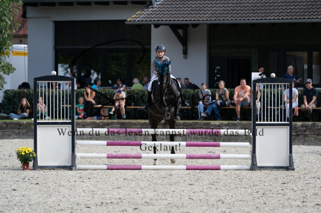 A7V07663 | Pferdefotograf