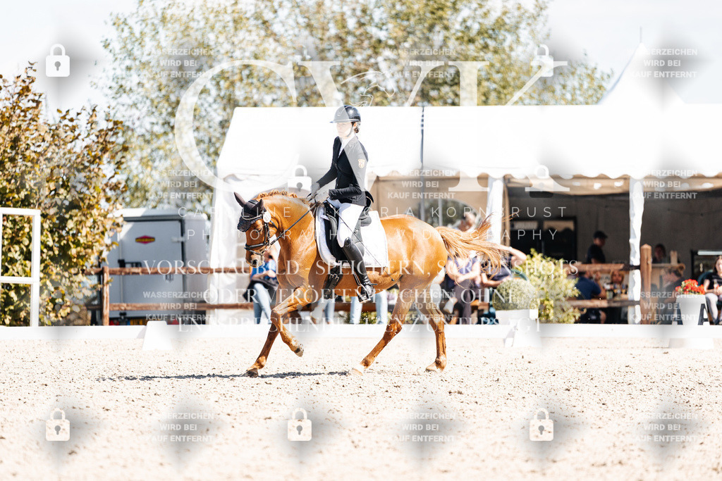 CK903594 | Turnierfotografie Pferdefotografie Trier Rheinland-Pfalz Pferdesport Reitsport Tierfotografie Sportfotografie Pferdevideo Pferdevideografie Equestrianvideography equestrianphotography  - Realisiert mit Pictrs.com