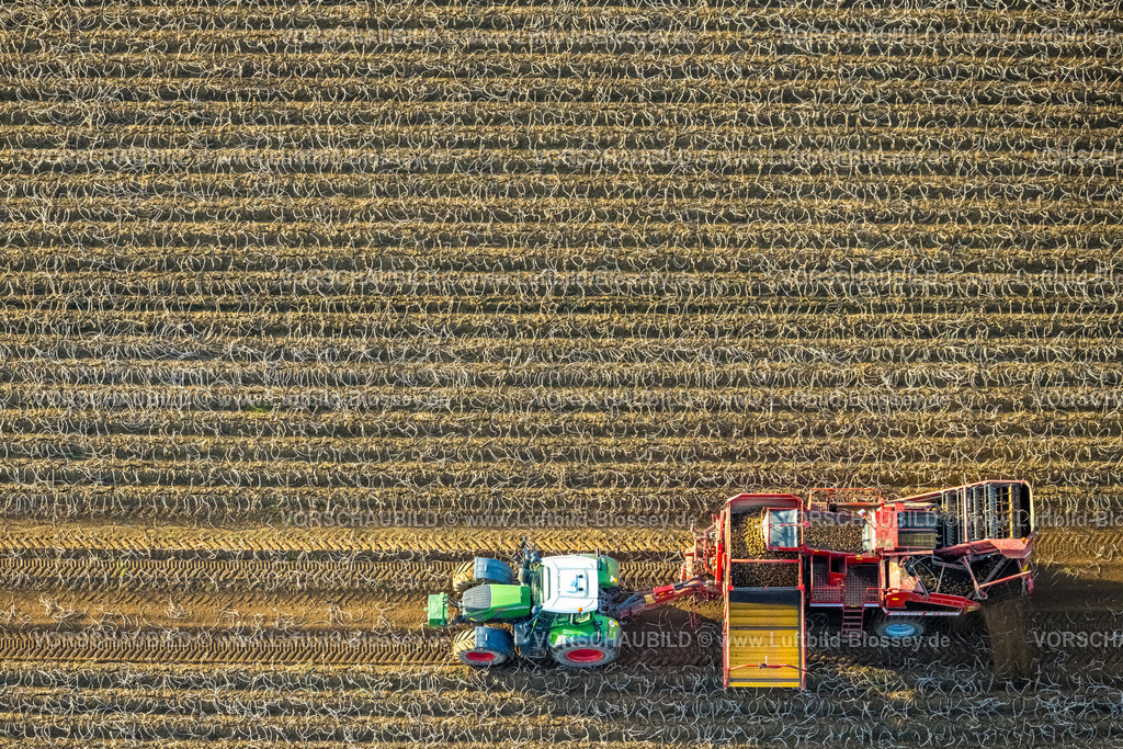 Uedem241014447 | Luftbild, landwirtschaftliche Feldarbeit mit Traktor, Kartoffelernte, Uedemerfeld, Uedem, Niederrhein, Nordrhein-Westfalen, Deutschland