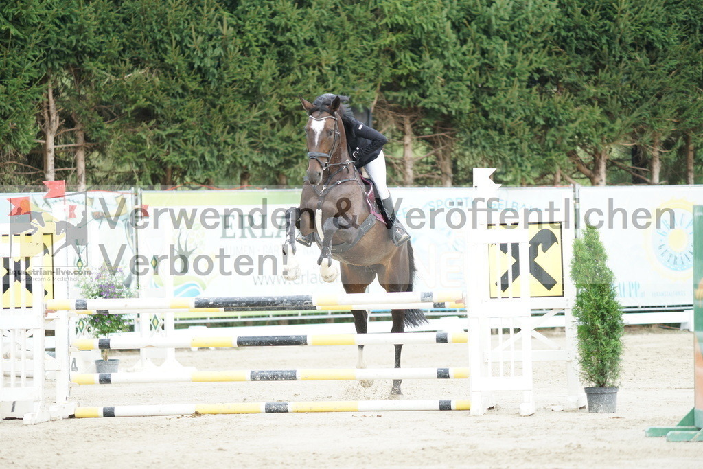 DSC01609 | equestrian-live-com