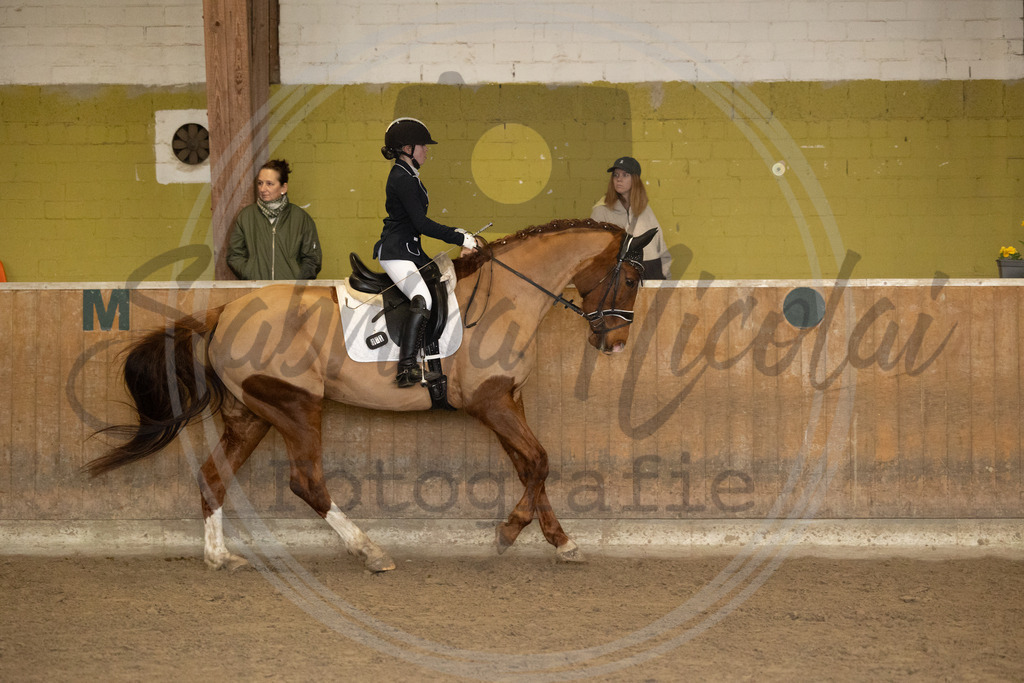 994A8900 | sabrinanicolaifotografie - Realisiert mit Pictrs.com