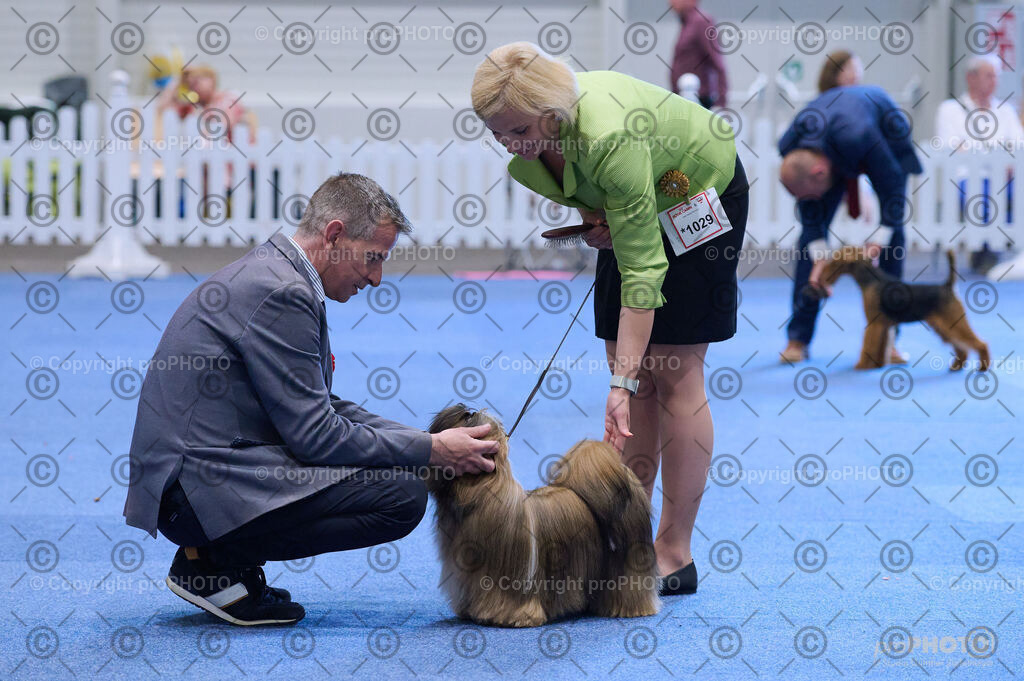 202406_ÖKV-IHA-Tulln24_DSC_4392 | proPHOTO - Realisiert mit Pictrs.com