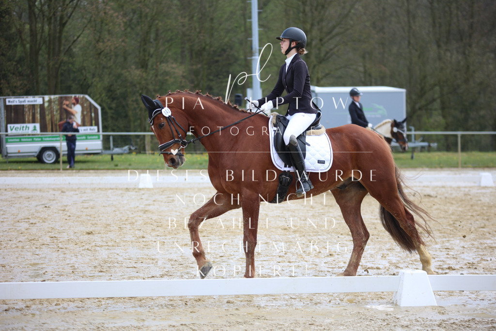 IMGT3430 | pl-fotografie