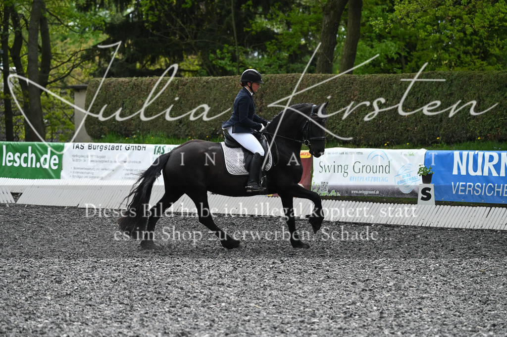 20230512_JK-Röhrsdorf-07-078 | Pferde- und Turnierfotografie in Westsachsen. Pferdeportraits, Auftragszeichnungen und intuitive Kunst.