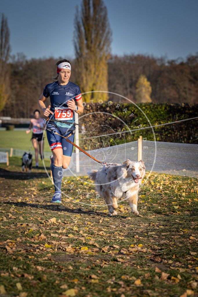 CaniXpix_DV3A2550 | Hundefotografie, Tierfotograf, Pfotenfotografie, Fotoshooting Hund, Hunde Portrait, Hundesport, Hundeportraits, Heideshooting, Hunde, Sportfotograf, Hundefotograf, Turnierhundsport, THS,  - Realisiert mit Pictrs.com